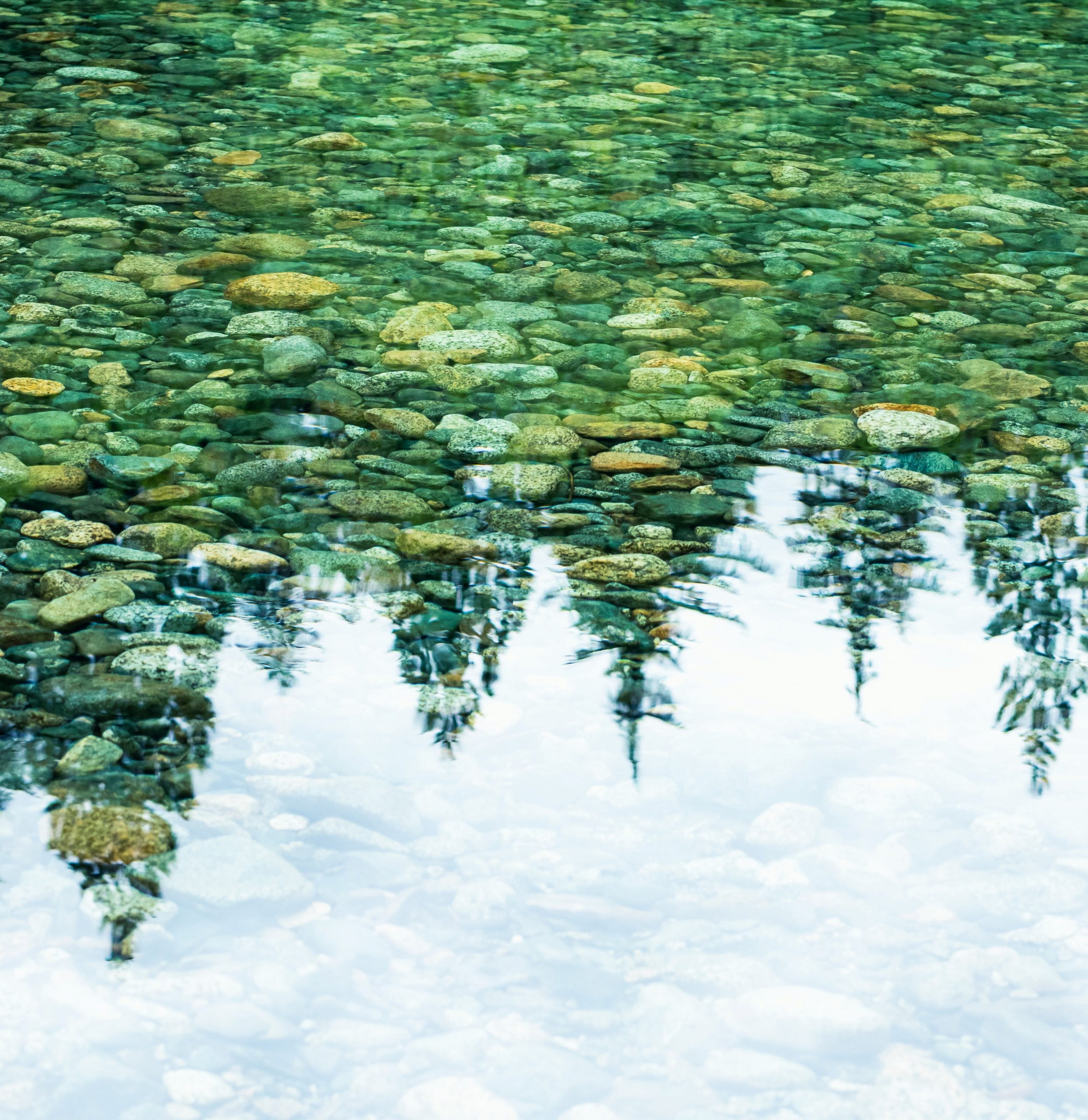 Du visar för närvarande Öppna för det jorden behöver