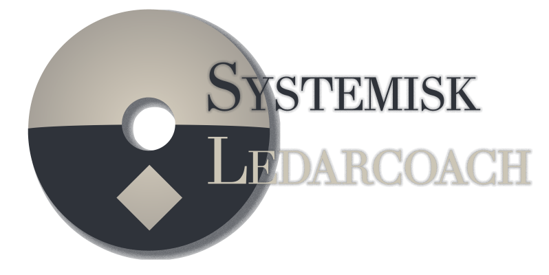 systemisk ledarcoach photoshop skuggad med ord-s